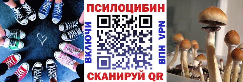 цены   Ишимбай  Псилоцибиновые грибы Cubensis 