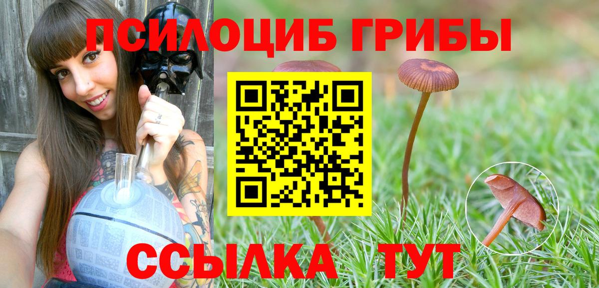 Галлюциногенные грибы Cubensis Ишимбай