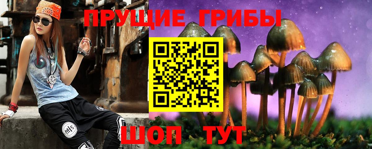 Галлюциногенные грибы Cubensis Ишимбай