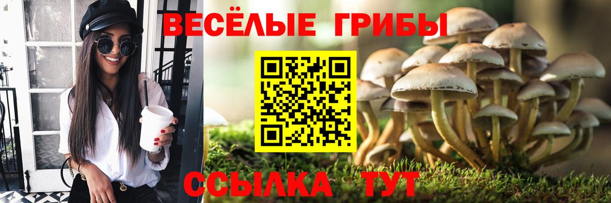 Псилоцибиновые грибы Psilocybe  Вход с VPN  Псилоцибиновые грибы Magic Shrooms  Ишимбай 